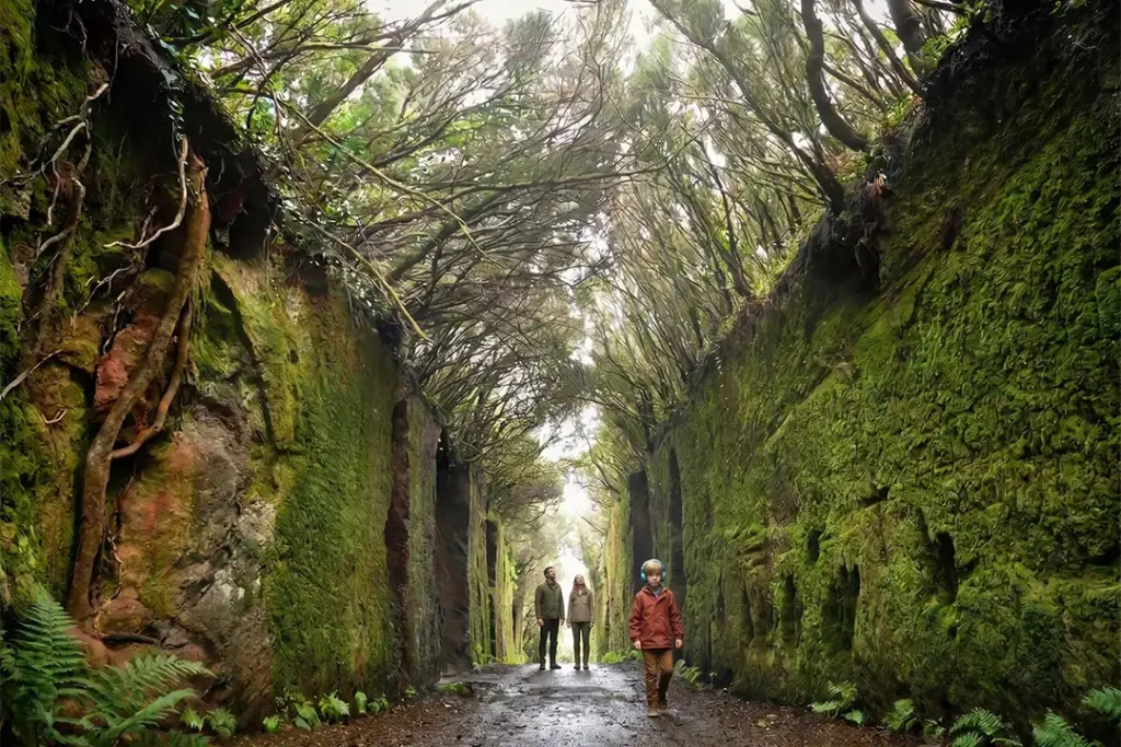 A family enjoying an immersive audio experience on the Camino Viejo to Puerto del Inglés, in Anaga, Tenerife