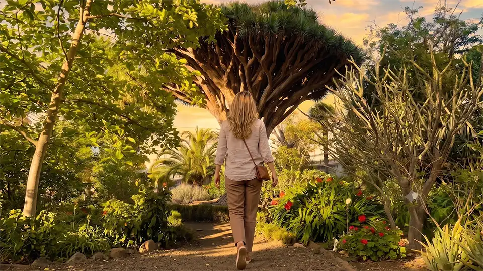 Voyageur à La Hijuela, dans le jardin botanique – La Orotava, Ténérife
