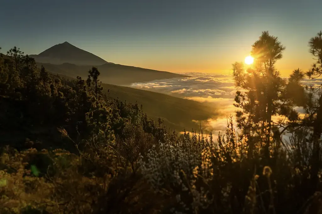 Vue sur le Teide et la mer de nuages depuis le mirador Ortuño, Ténérife